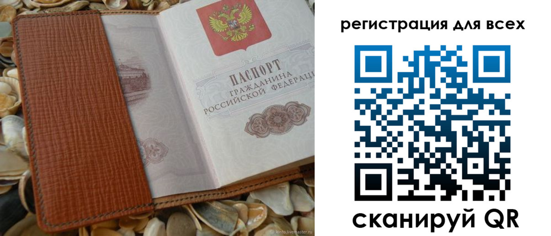 прописка поиск в Гатчине